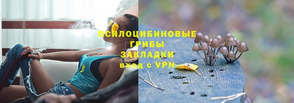 тгк Чекалин