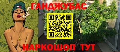 гидра Донской