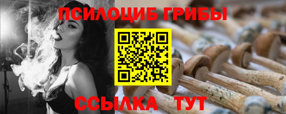 Галлюциногенные грибы мицелий Осинники